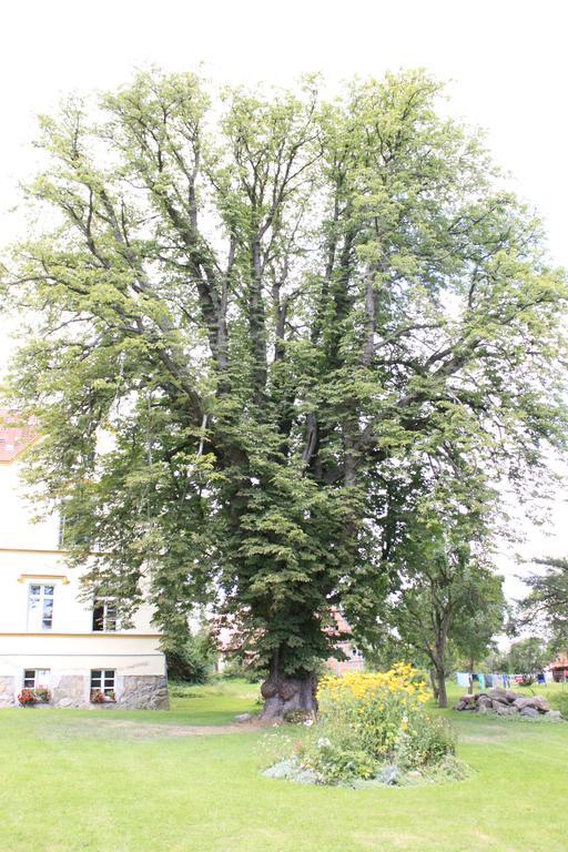 Schloss Lelkendorf - Fewo Parkblick Экстерьер фото